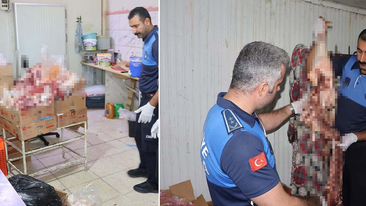 Şanlıurfa'da Gıda Denetiminde 163 Kilo Bozuk Tavuk Eti Ele Geçirildi