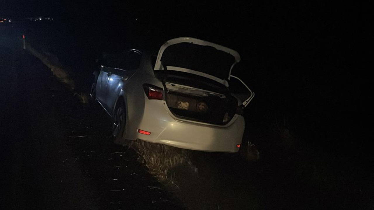 Şanlıurfa'da otomobil koyun sürüsüne çarptı: 3 yaralı, 11 hayvan telef oldu