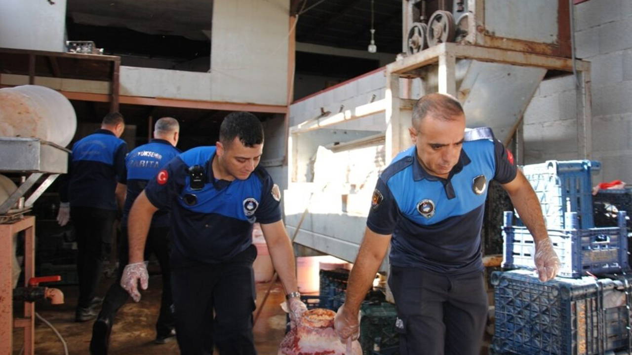 Şanlıurfa'da Sağlık Skandalı: Çürük Domates ve Küflü Salça Ele Geçirildi