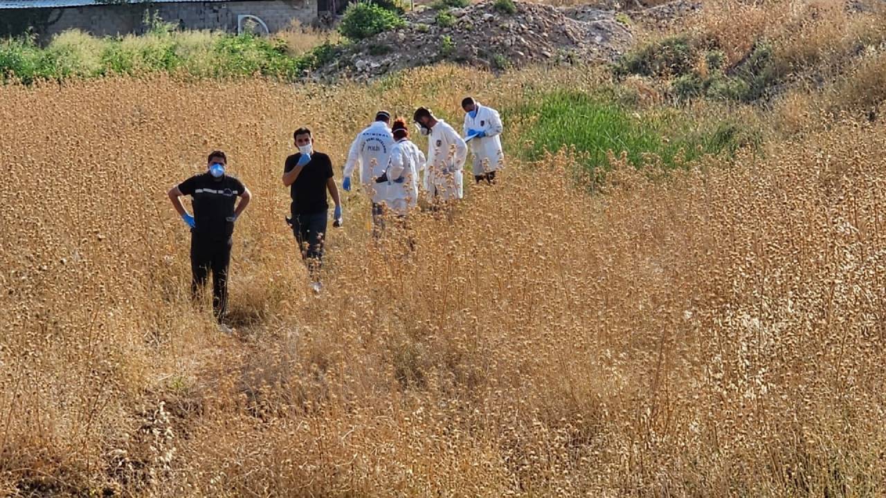 Şanlıurfa'da Tarlada Ölü Bulunan Kişinin Kimliği Araştırılıyor