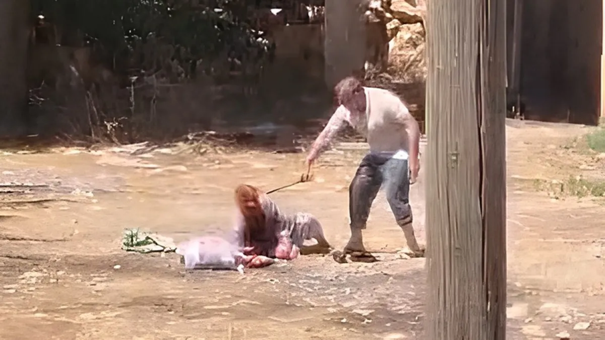 Şanlıurfa'da Vicdansız Evlat Annesini Darp Etti: Tutuklandı