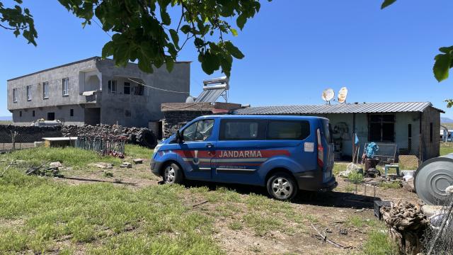 Şanlıurfa'da yılanı vurmak isterken 5 kişiyi yaraladı