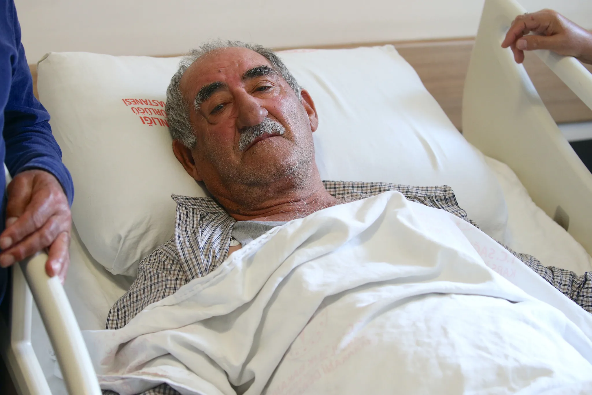 Sarıkamış'ta ayı saldırısı: 65 yaşındaki adam yavrularını koruyan ayıdan sağ kurtuldu