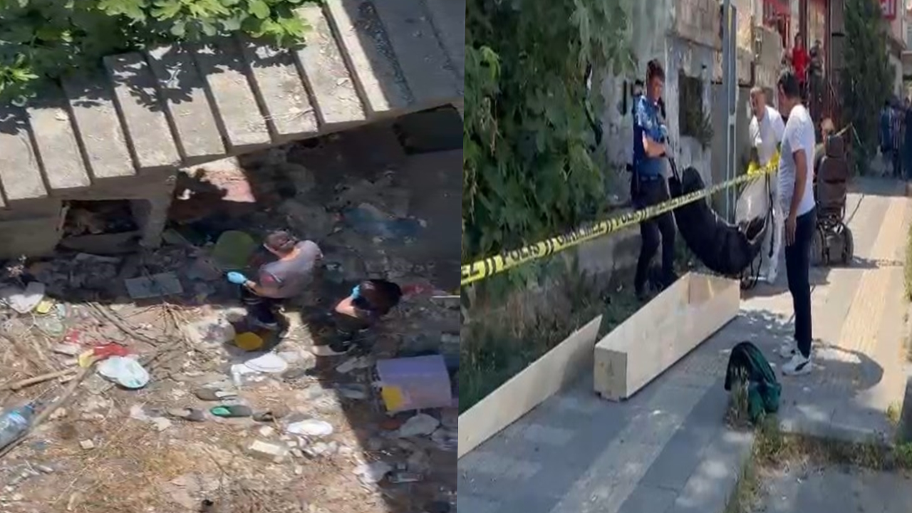 Sarıyer'de metruk binada ceset bulundu: Kedisini arıyordu