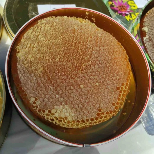 Sason'da 1 Kilo Bal 400 Bin TL'ye Satıldı: Gelir Üreticilere Çekle Verildi