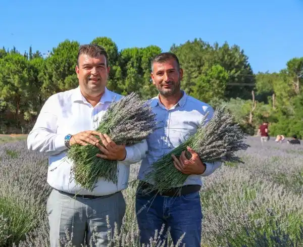 Seferihisar'da 11. Lavanta Hasat Şenliği: Doğa ve Üretim Buluşuyor