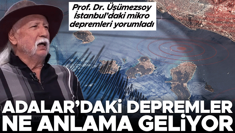 Prof. Dr. Şener Üşümezsoy: Adalar Depremleri Büyük Marmara'nın Habercisi Değil