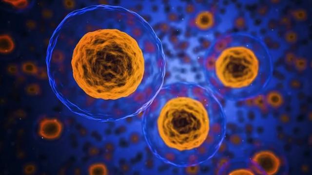 Sentetik biyolojide devrim: Cansız kimyasallardan ilk yapay canlı hücre üretildi