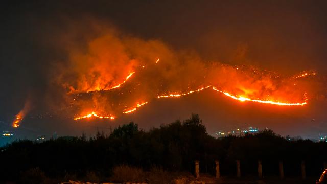 Sicilya'da orman yangınları sürüyor: Ekonomik kayıplar artıyor