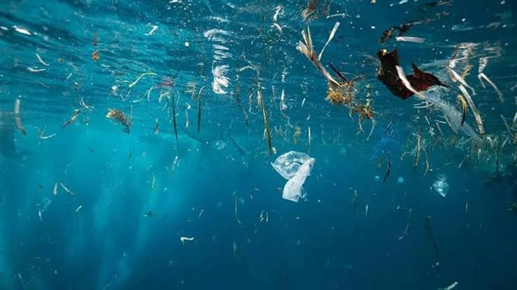 Sıfır Atık Vakfı'ndan Mikroplastik Kirliliğine Karşı Saha Seferberliği