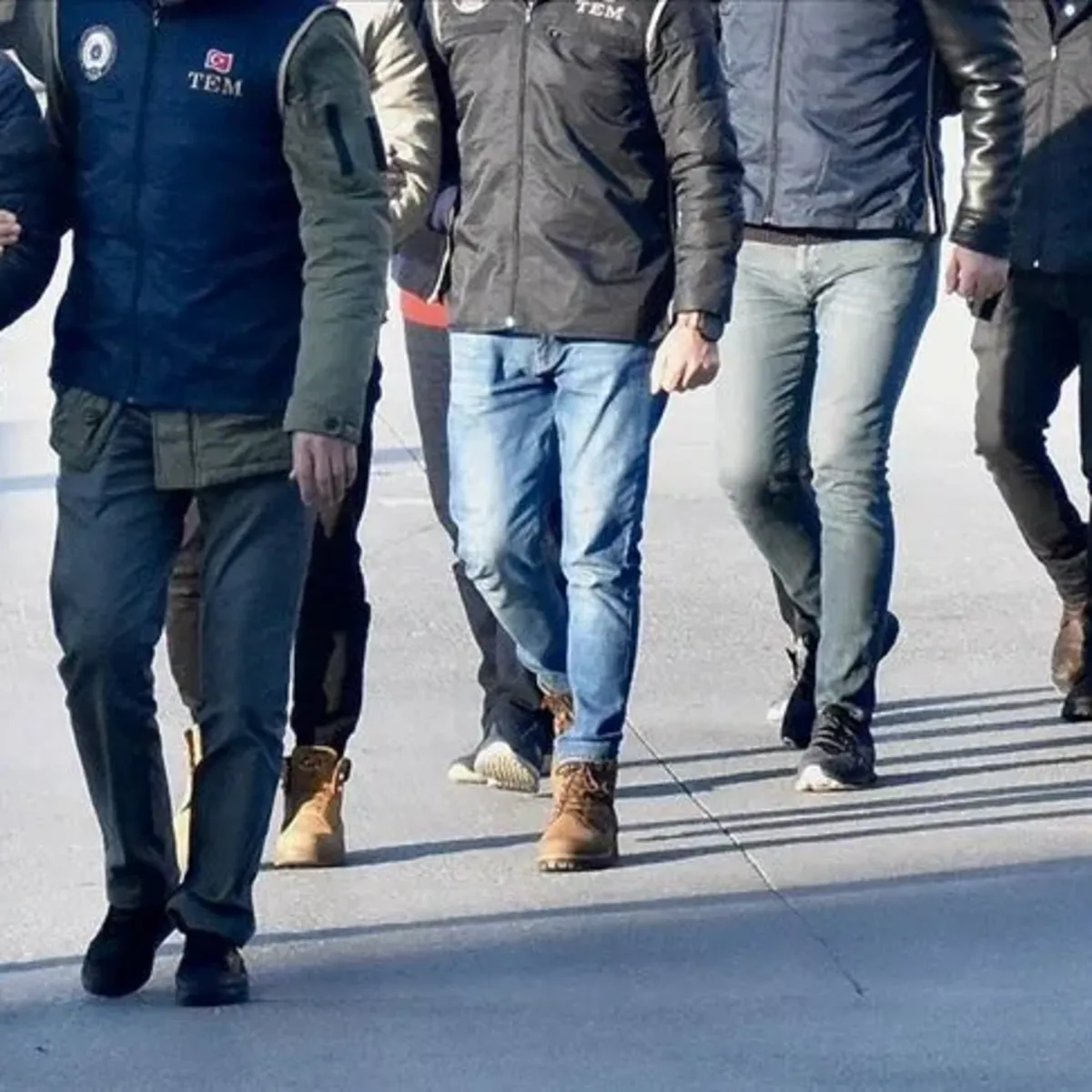 Sigorta Dolandırıcılığı Operasyonu: 77 Şüpheli Yakalandı