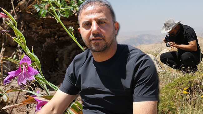 Siirt'te nesli tükenmekte olan kılıç otu keşfedildi: Dünyada sadece 300 metrekarede yayılıyor