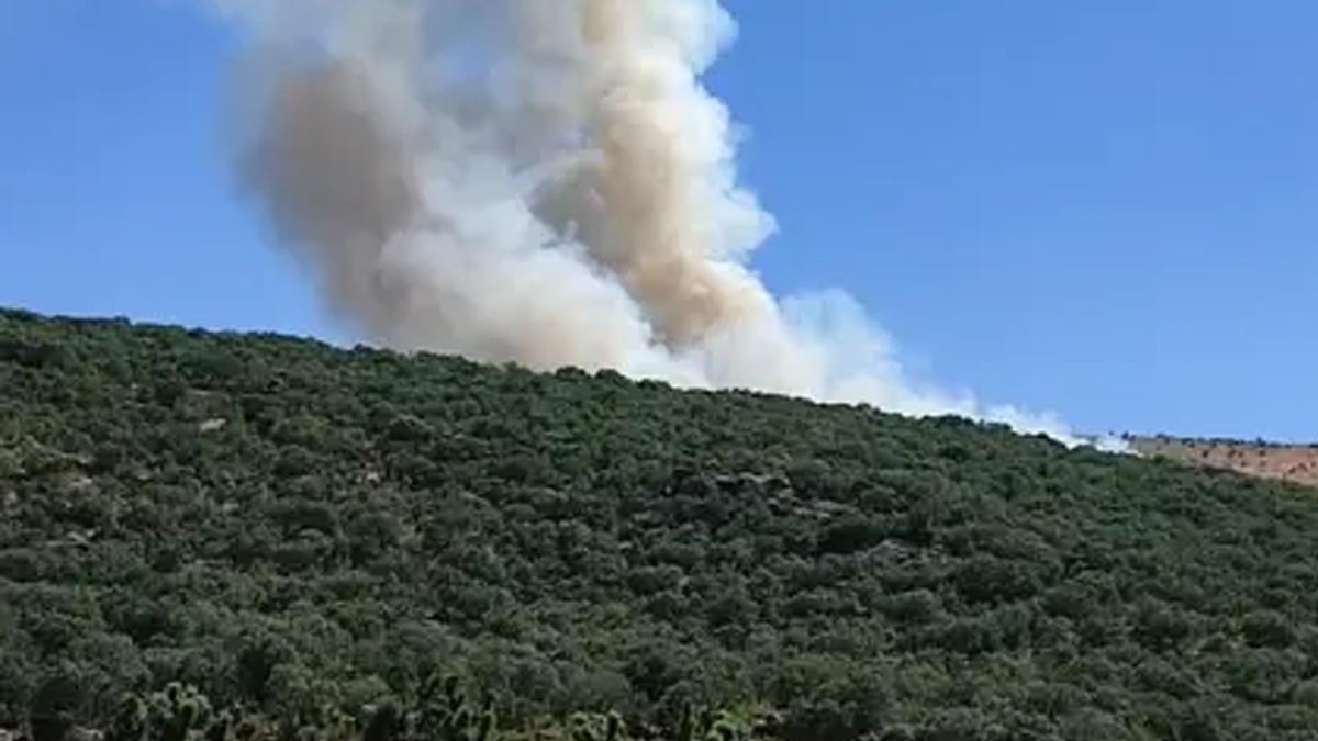 Silvan'da Meşe Ormanında Yangın Kontrol Altına Alındı