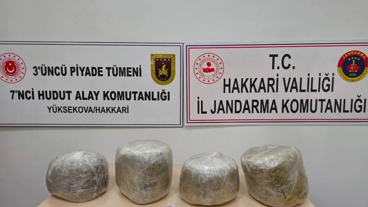 Sınırda 11 Kilogram Skunk Ele Geçirildi: İran Uyruklu Şüpheli Tutuklandı