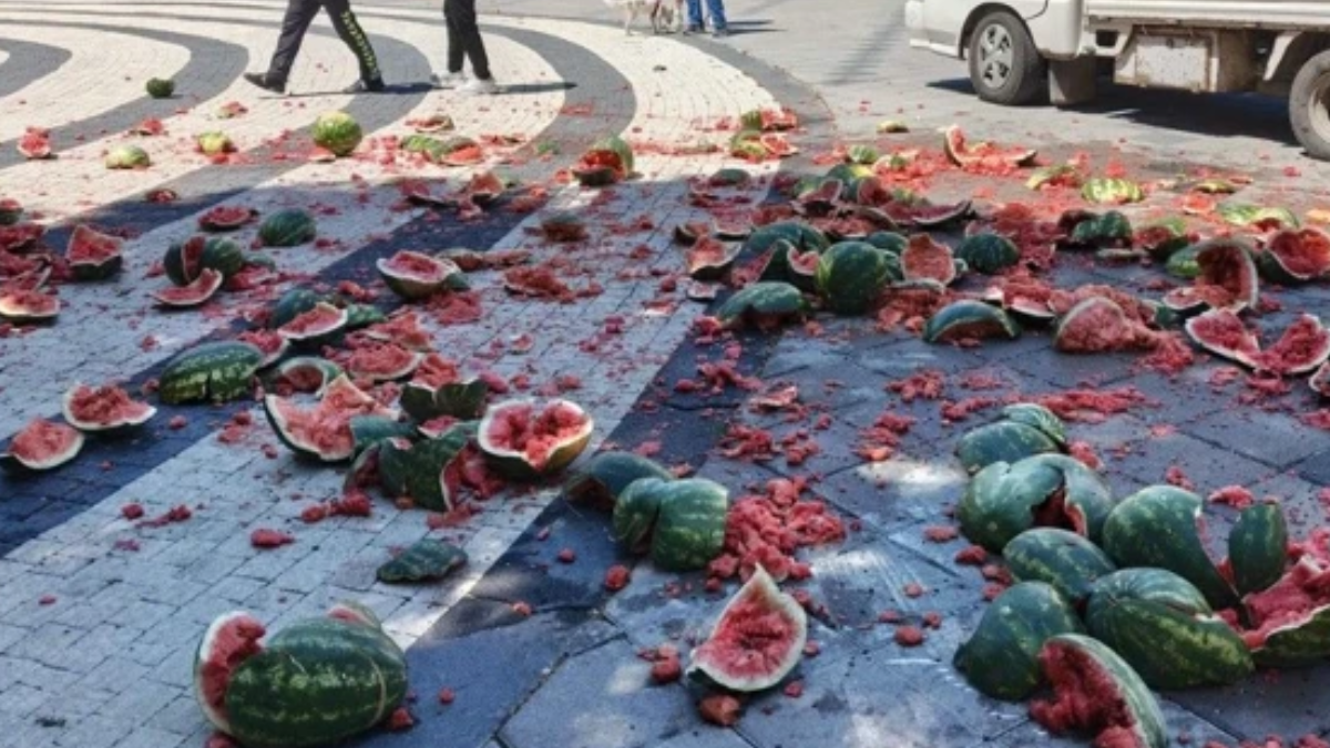 Zabıtaya sinirlenen seyyar satıcı karpuzları caddeye fırlattı