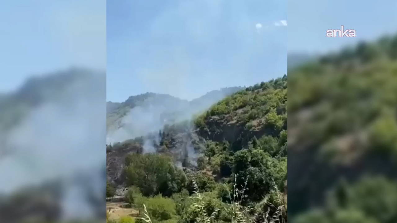 Sinop'ta orman yangını: 10 hektar küle döndü