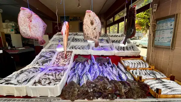 Sinop'ta Kalkan Bolluğu: Fiyatı Cep Yakıyor