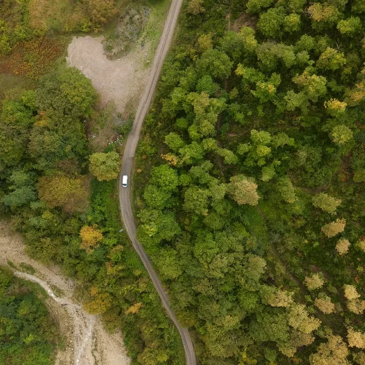 Sinop'ta Sonbahar Renkleri: Ormanlar Sarı ve Kahverengiye Bürünüyor