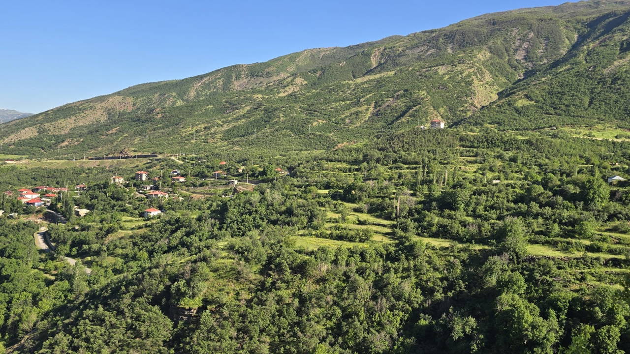 Şırnak'ta ormanlara giriş yasağı 9 Haziran'da başlıyor
