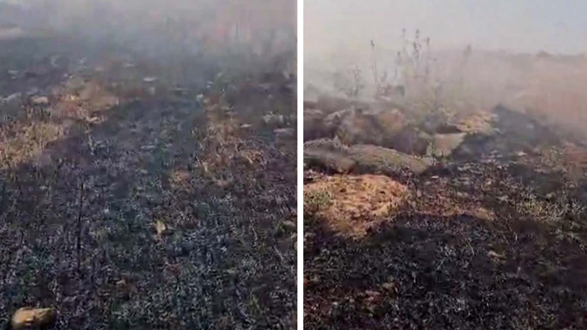 Şırnak'ta Ziraat Fakültesi bahçesinde yangın: 200 dönüm zarar gördü