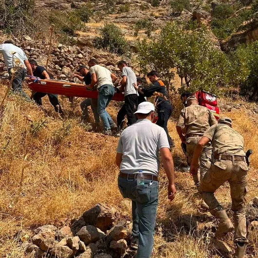 Şırnak'ta Ağaçtan Düşen Yaralıya 3 Saatlik Kahramanca Müdahale