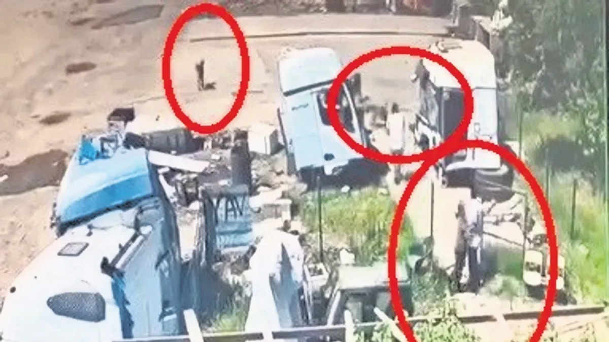 Şırnak'ta Aynı Noktada İkinci Köpek Saldırısı: Yaşlı Adam Yaralandı