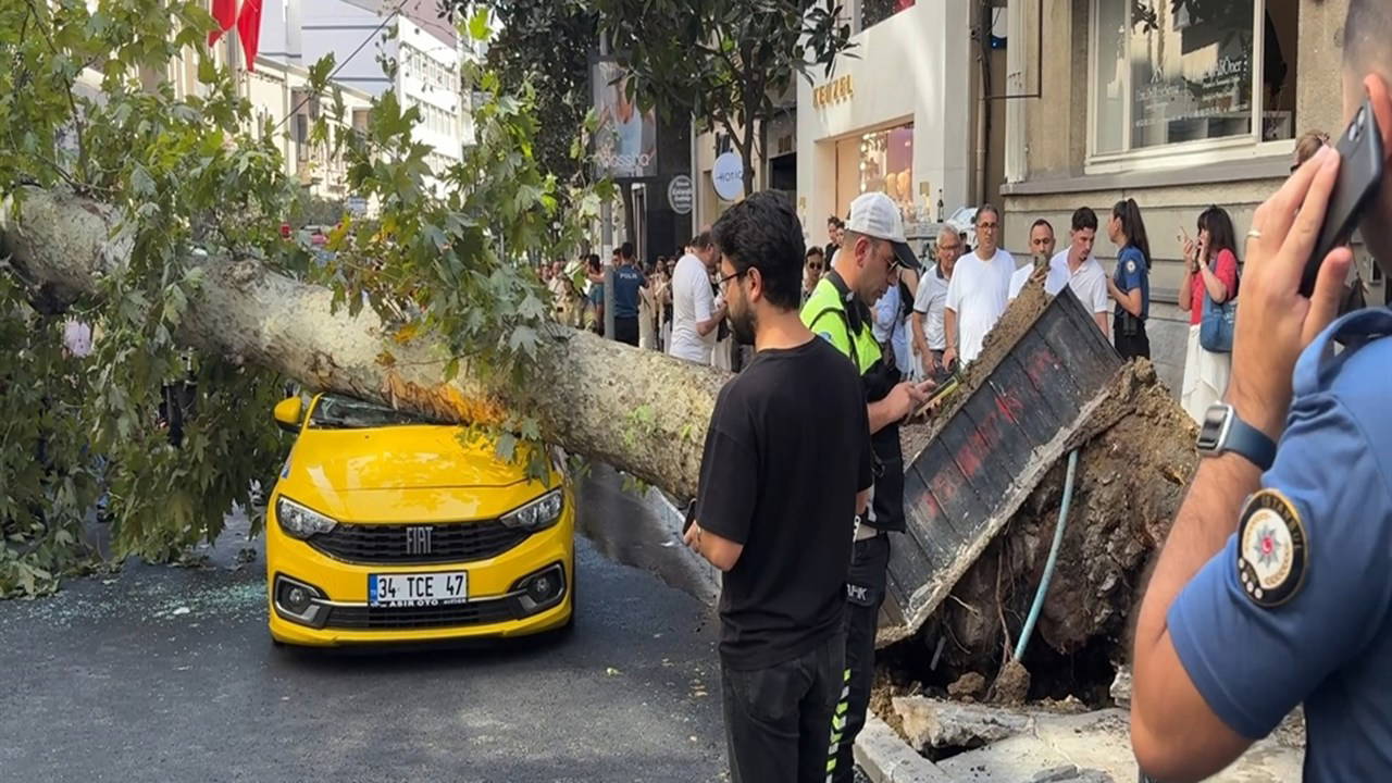 Şişli'de Dehşet: Devrilen Ağaç Araçların Üzerine Düştü