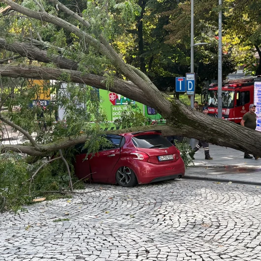 Şişli'de Devrilen Ağaç Park Halindeki Otomobile Zarar Verdi