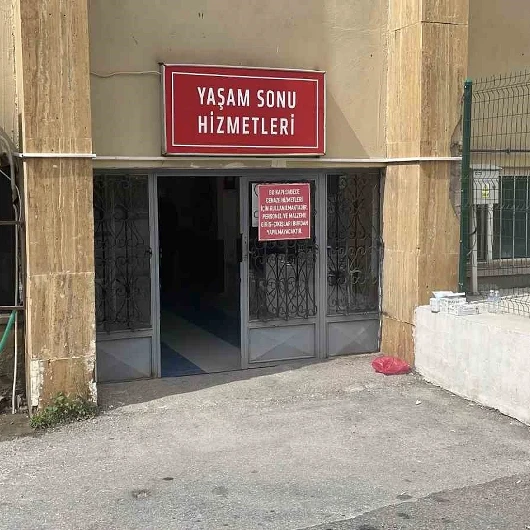 Sivas'ta Kene Isırması Sonucu Bir Kişi Hayatını Kaybetti