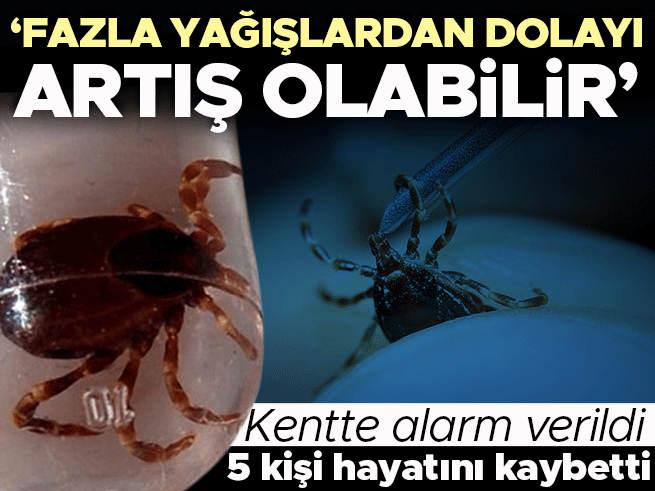 Sivas'ta KKKA alarmı: Prof. Dr. Doğan'dan kene uyarısı