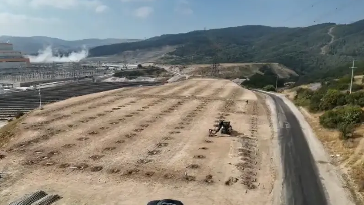 Sivas'ta Termik Santral Atık Isısıyla Türkiye'de İlk Olacak Proje