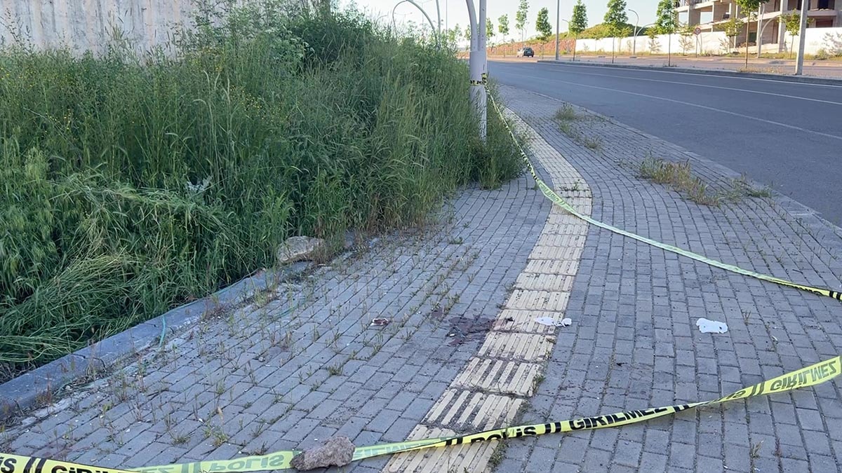 Sivas'ta baltalı dehşet: 3 yaralı, bir gözaltı