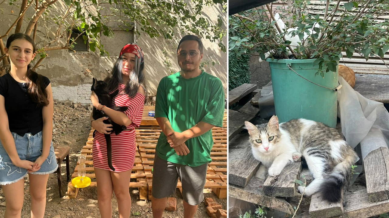 Sokak kedileri için 13 yaşındaki Bade'nin mama kabı desteği