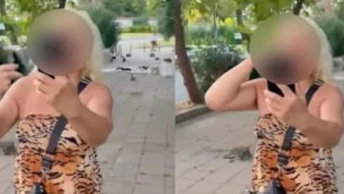 Sokak kedilerini beslerken yolu kapatan kadın kliniğe yatırıldı