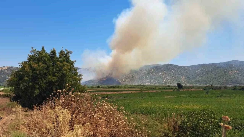Söke'de zirai alanda yangın: Ekipler seferber oldu