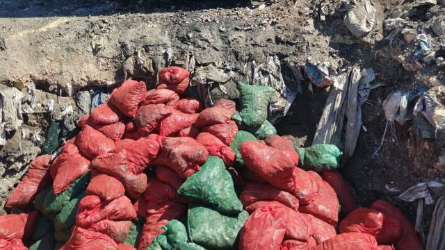 Soma'da 4 Ton Bozuk Midye Ele Geçirildi, İmha Edildi