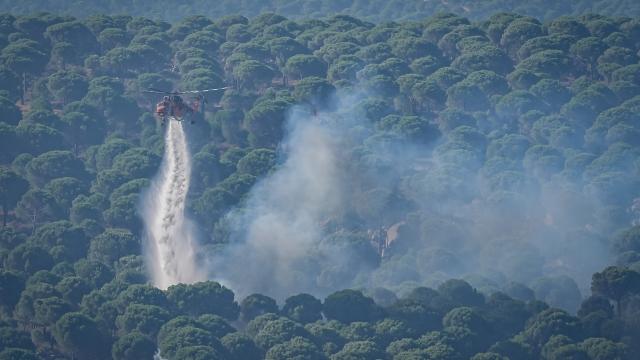 Son bir haftada 10 orman yangını: 2 tutuklama, 6 şüpheli