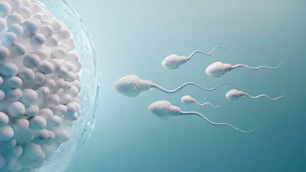 Sperm kalitesini artıran besinler: Somon, bitter çikolata ve yumurta