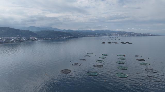 Su ürünleri ihracatı 2024'te 2,2 milyar doları aştı