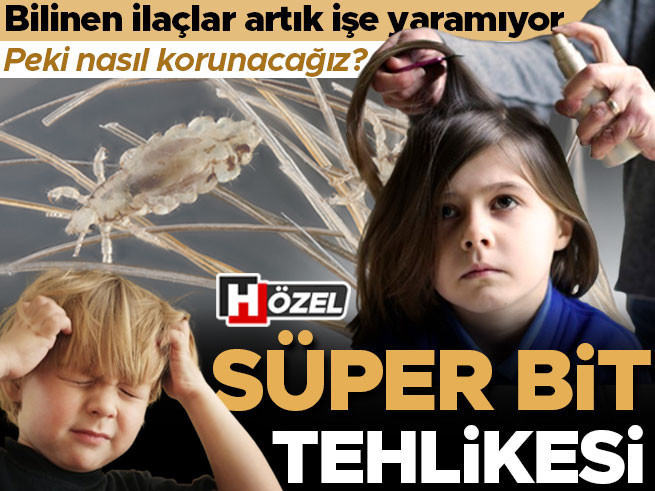 Süper Bit Tehdidi: Geleneksel İlaçlar ve Doğal Yöntemler Etkisiz