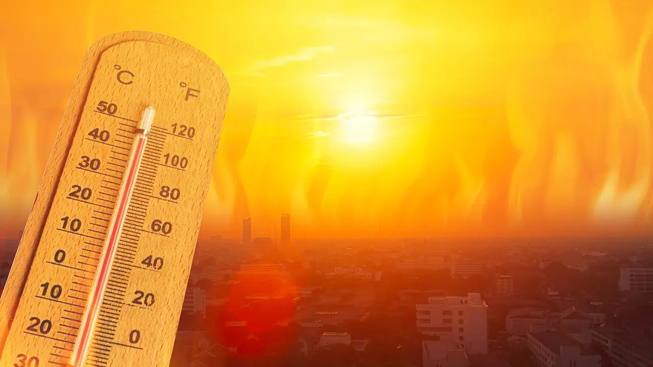 Süper El Nino Türkiye'yi Nasıl Etkileyecek? Uzmanlar Uyarıyor