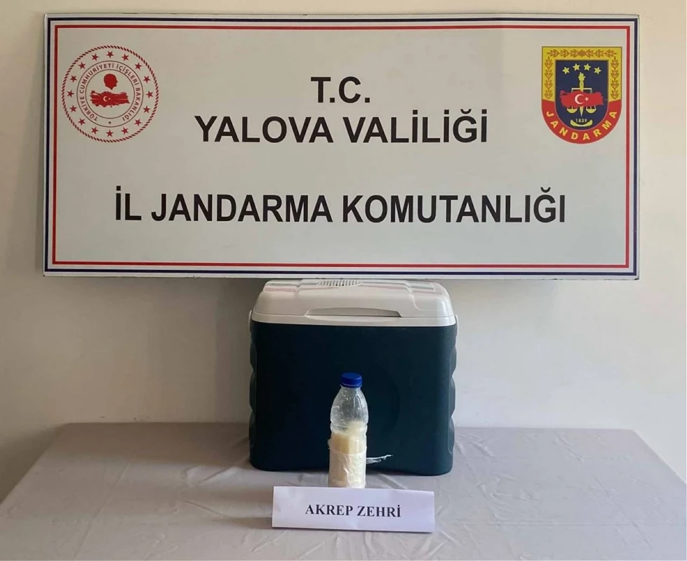 Suriye'den getirilen 500 gramı 5 milyon dolarlık uyuşturucu