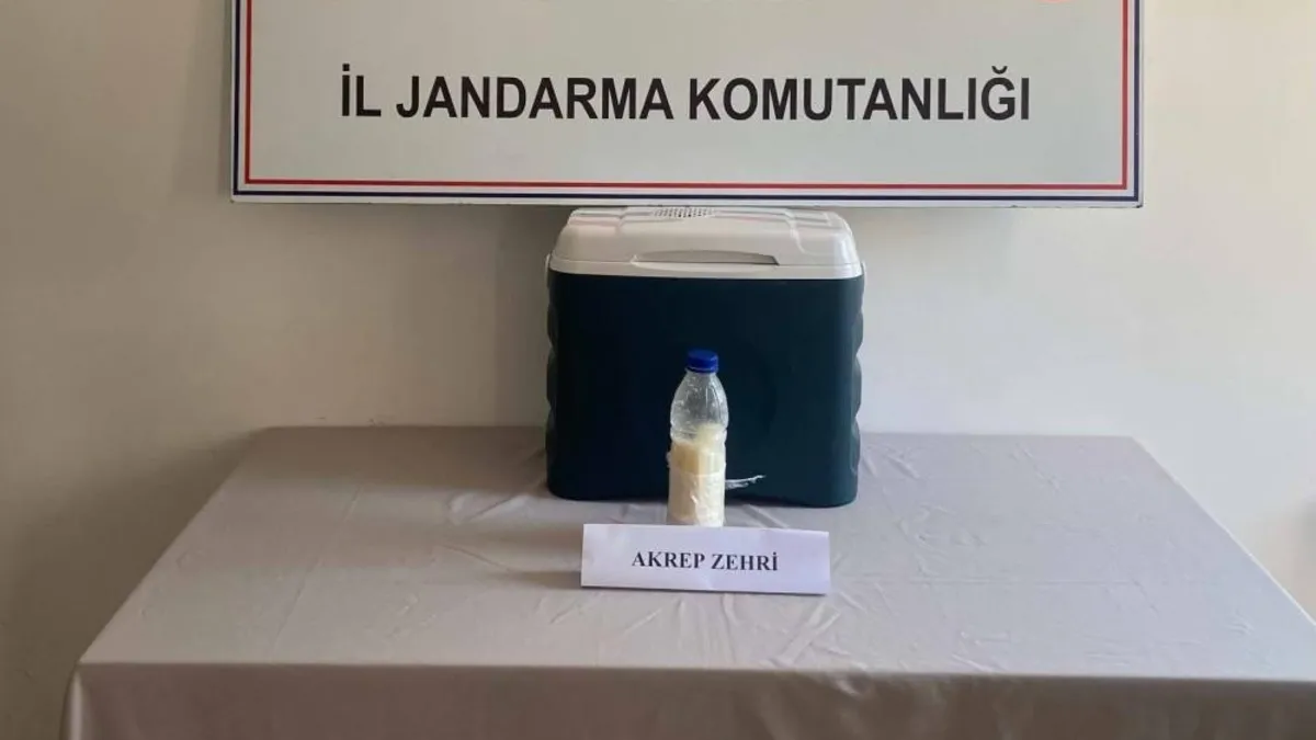 Suriye'den Türkiye'ye akrep zehri kaçakçılığı: 500 gramı 5 milyon dolar