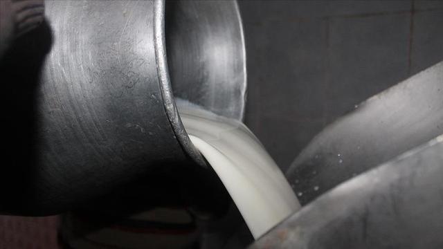 Süt Üreticilerine Mesleki Yeterlilik Belgeli Toplama Desteği