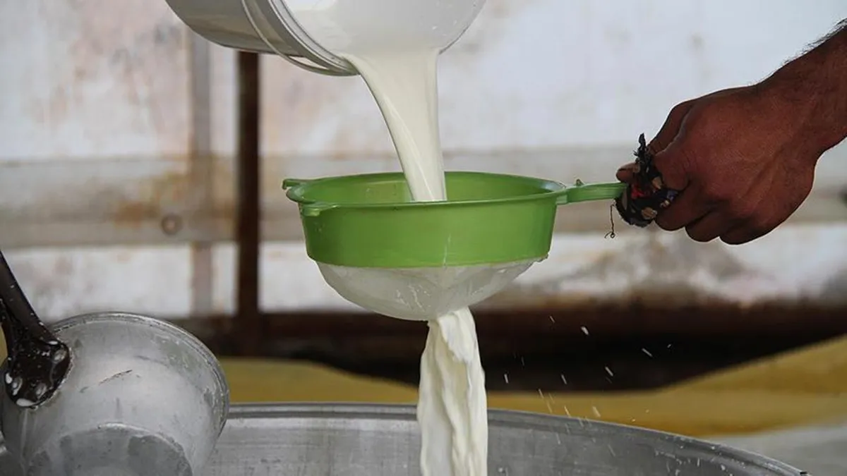 Süt Üreticilerine Yeni Destek: Mesleki Yeterlilik Şartı Getirildi