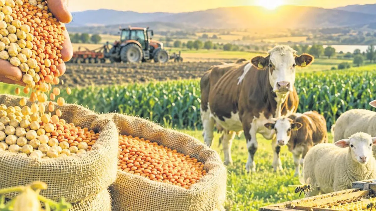 Tarım Destekleri Arttı: Dekar Başına 367 Lira