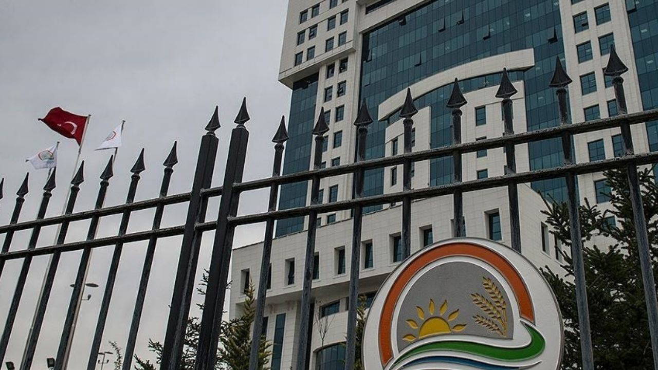Tarım ve Orman Bakanlığı 1.874 personel alacak: Başvuru şartları ve takvim