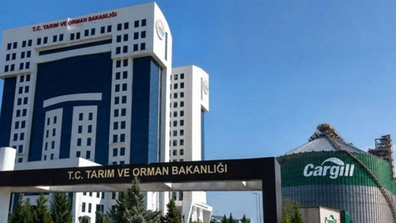 Tarım ve Orman Bakanlığı 1.874 Sözleşmeli Personel Alımı: Başvuru Tarihi ve Şartlar