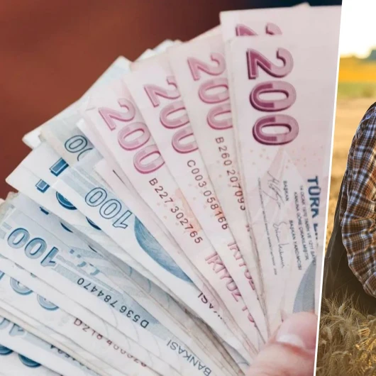 Tarıma 844,5 Milyon TL Hibe Desteği: IPARD-III Detayları