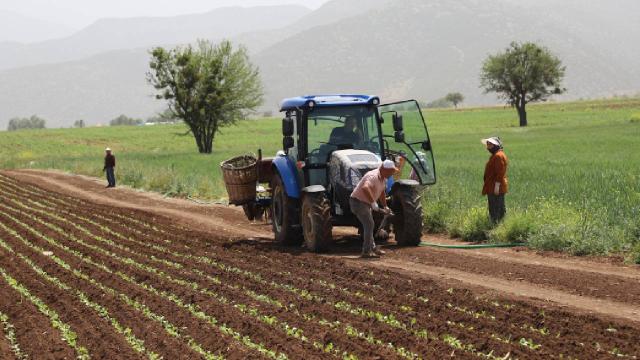 Tarımsal destek ödemeleri bugün hesaplara yatıyor